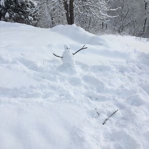 Meet your Posher, Maddie